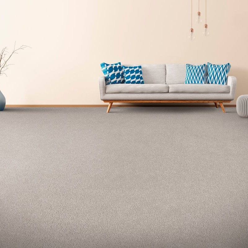 Allman's Carpet & Flooring providing stain-resistant pet proof carpet in Bountiful, UT - Polished Elements